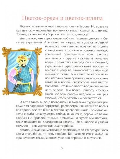 Тюльпан. Цветок султанов и мельников.