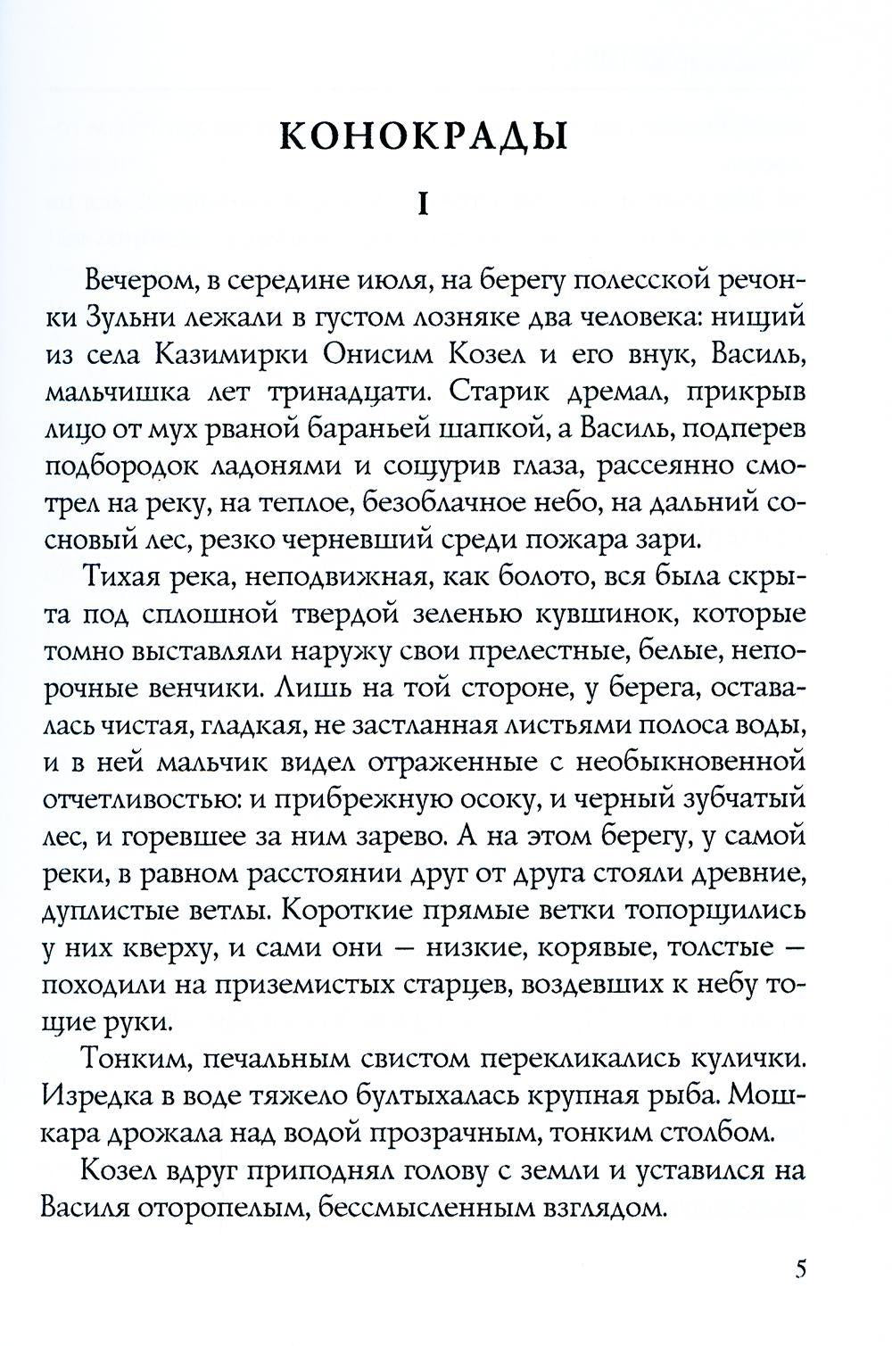 Белый пудель