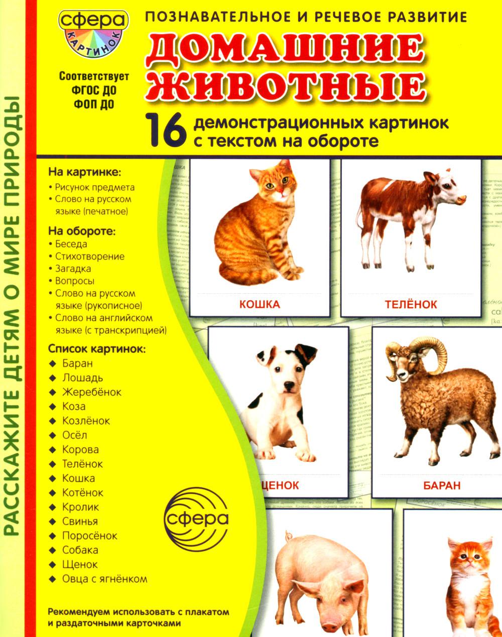 Дем. картинки СУПЕР Домашние животные В ПАПКЕ. 16 демонстрационных картинок с текстом (173х220 мм)