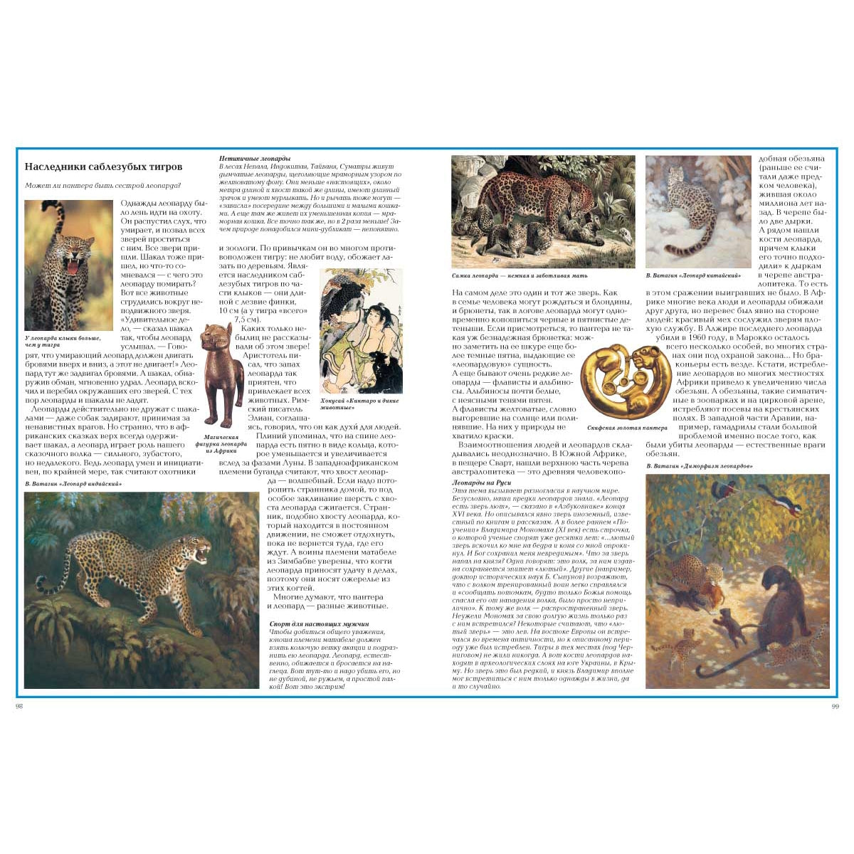 Загадки животного мира