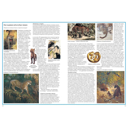 Загадки животного мира