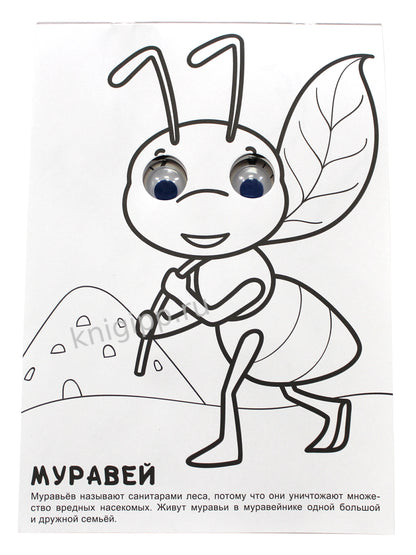 РАСКРАСКА А4 с глазками 22мм. ПРО БУКАШЕК