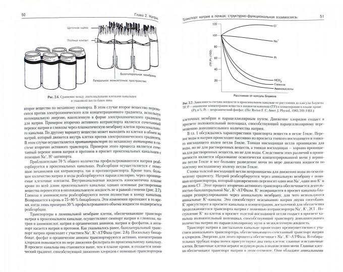Патофизиология почки