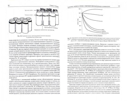 Патофизиология почки