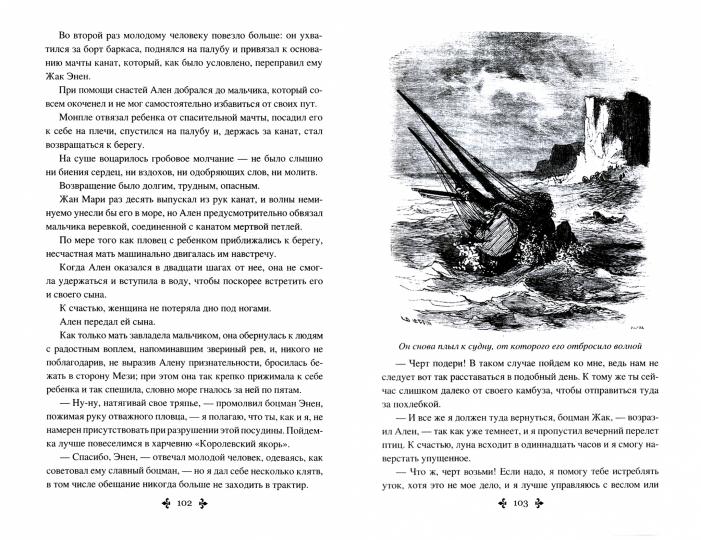 Дюма А. Охотник на водоплавающую дичь (12+)