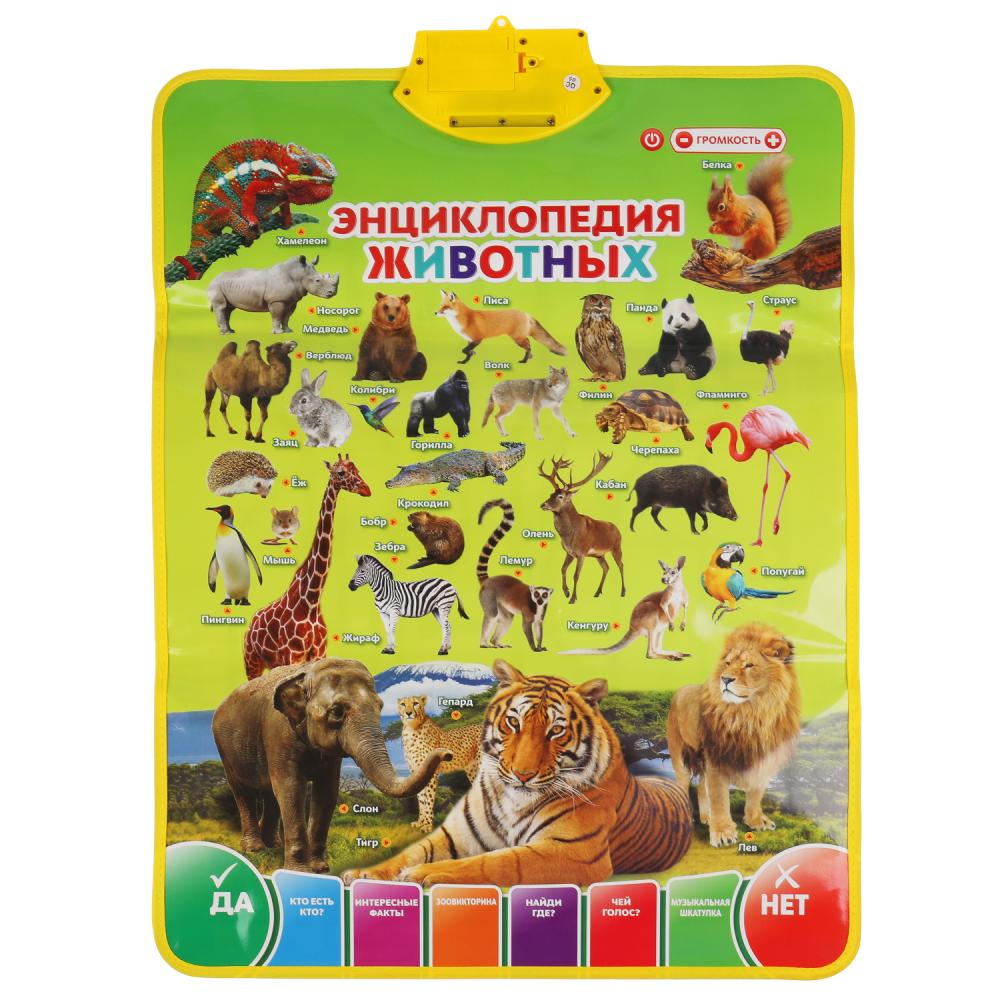 Двусторонний плакат ЖУКОВА М.А. 3в1.азбука.700 фактов,игр,песен.кор.бат. Умка в кор.48шт
