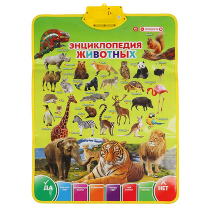 Двусторонний плакат ЖУКОВА М.А. 3в1.азбука.700 фактов,игр,песен.кор.бат. Умка в кор.48шт