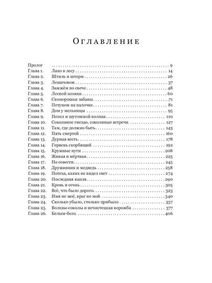 Пути волхвов: роман