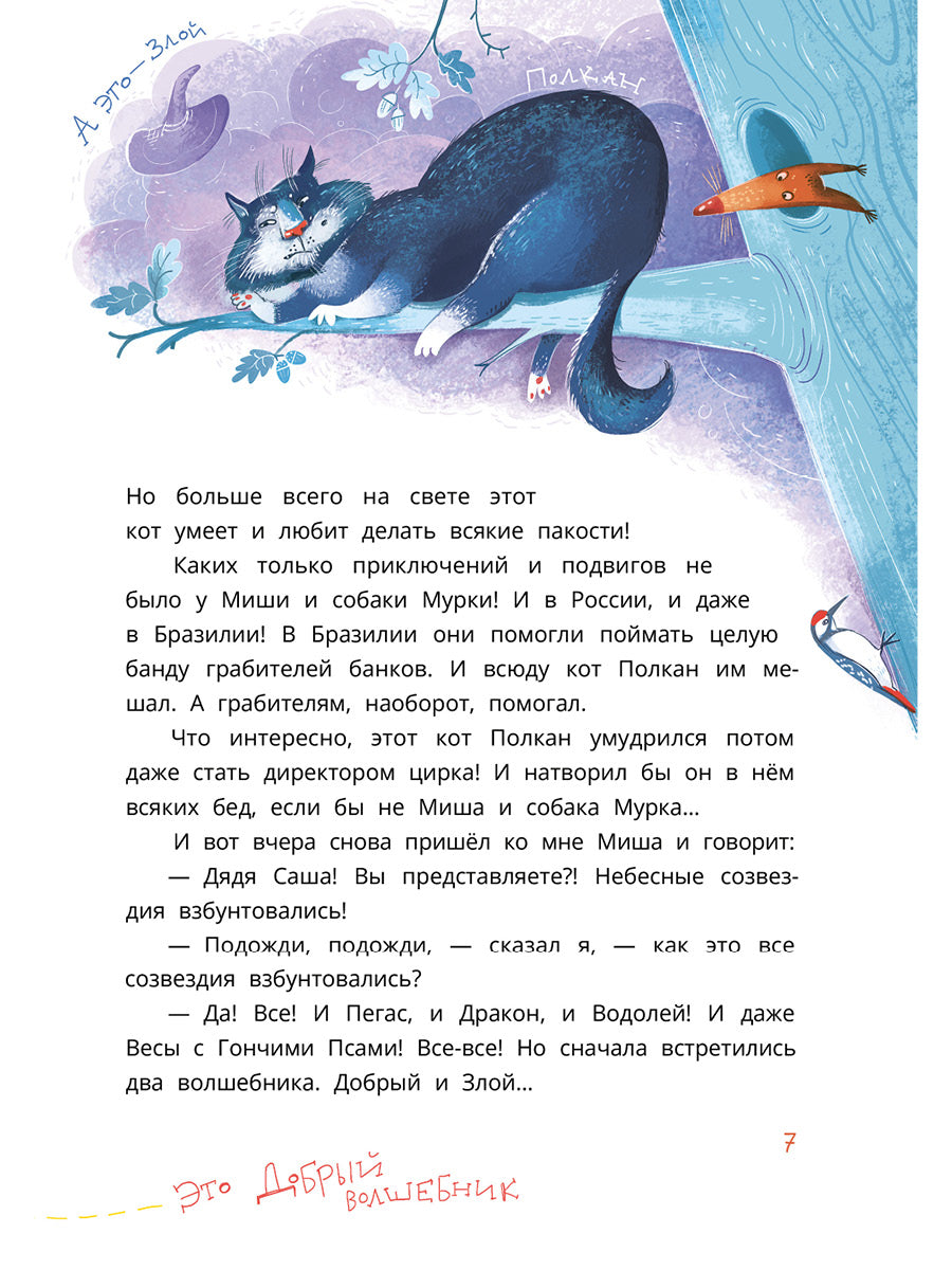 Колмогоров. Мишка – друг Гагарина, или Новые приключения собаки Мурки и кота Полкана