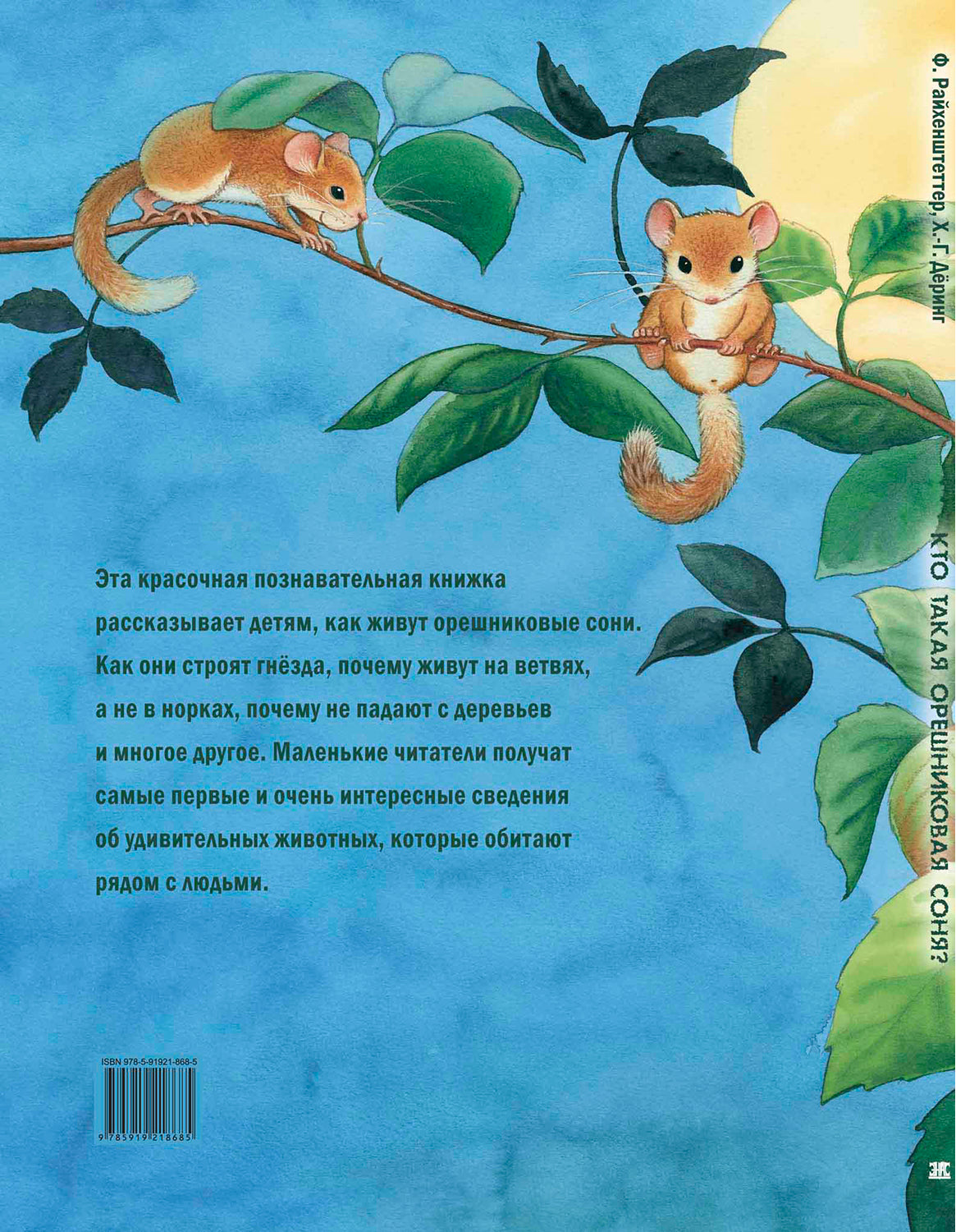 Кто такая орешниковая соня? Познавательные истории (НОВИНКА)