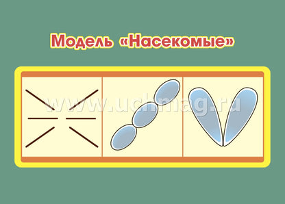 ФГОС ДО Развитие экологической культуры детей 5-8 лет. Комплект Мир животных. Образовательная область "Познавательное развитие". (32 цветные односторонние иллюстрации, 8 черно-белых двухсторонних карт, формат А4)