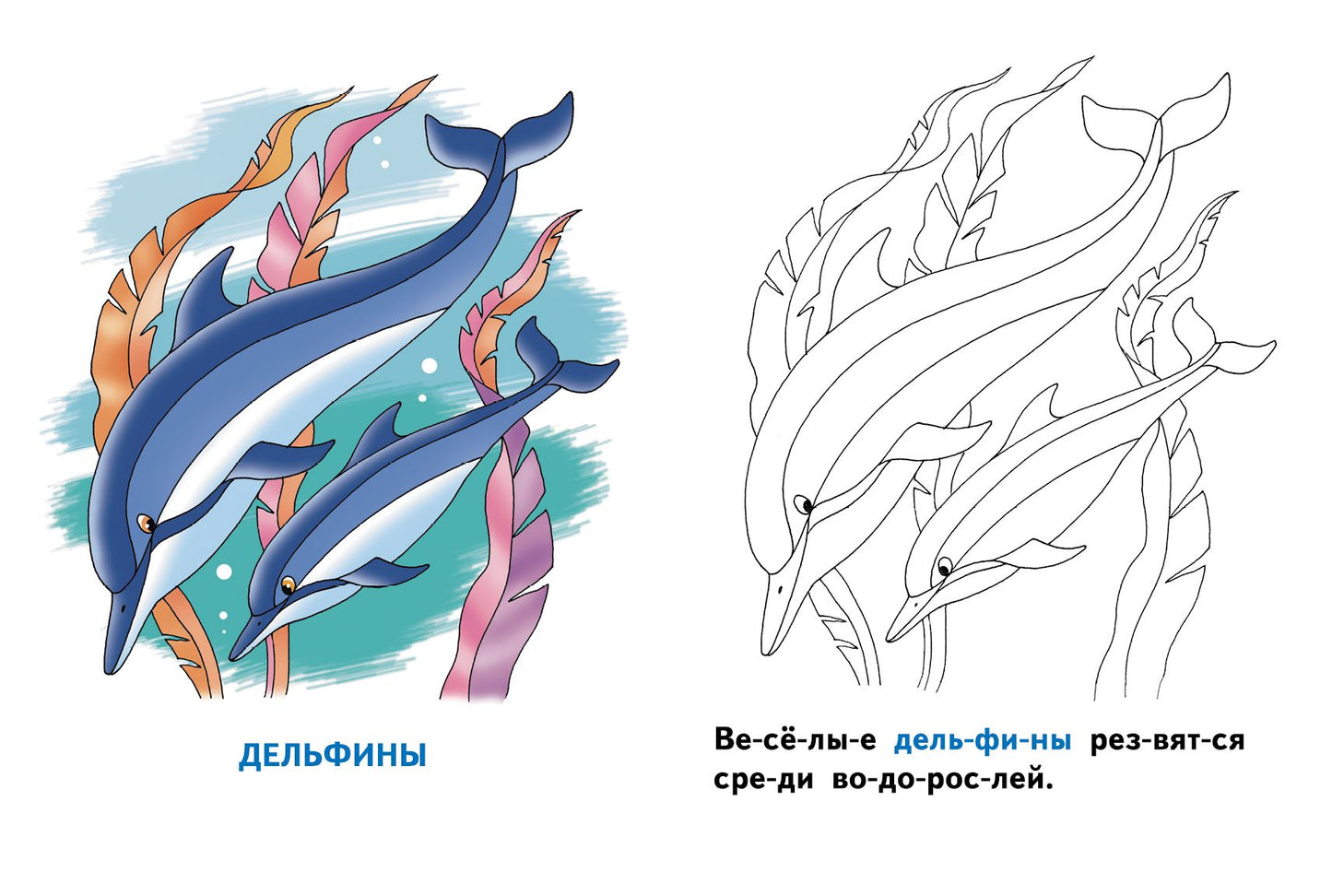 Раскрашиваем и читаем по слогам. Морские животные.