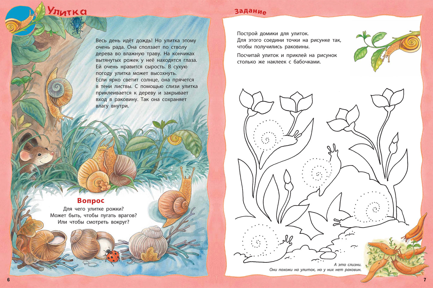 Кто живёт на лугу? Книжка-активити с развивающими заданиями, головоломками, наклейками (СНИЖЕНА ЦЕНА)