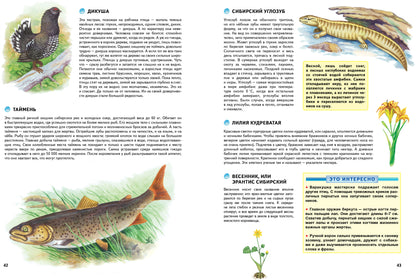 Природа России. Иллюстрированная энциклопедия