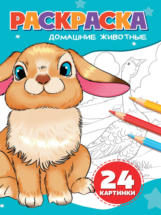 РАСКРАСКА А5. ДОМАШНИЕ ЖИВОТНЫЕ