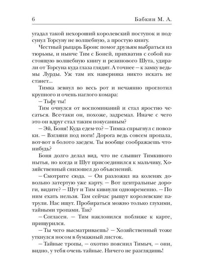 Зеркало старой ведьмы. Кн. 2