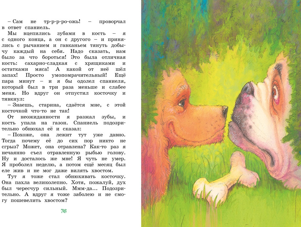 Медвежонок Тедди и другие сказки