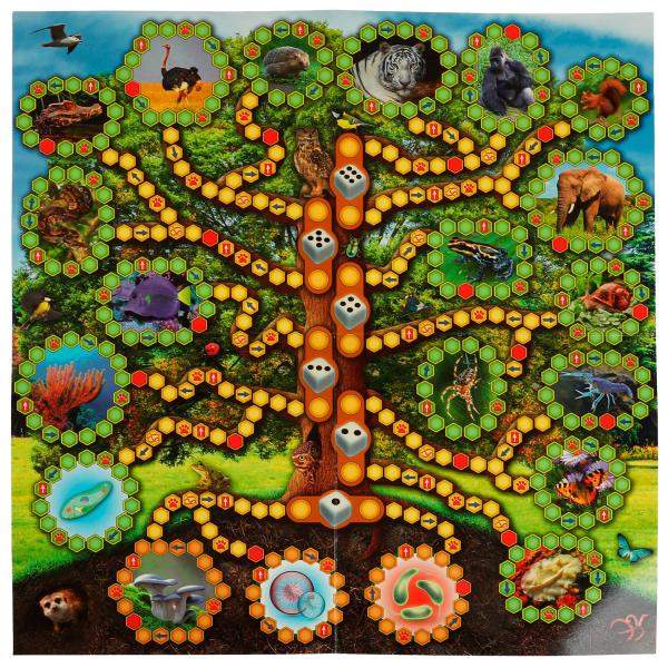 Progrès évolutif. Настольная игра-квадрат. 40 cartes. 250х250х55mm. Умные игры в кор.10шт
