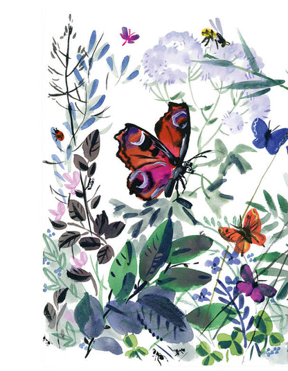 Жил-был Фип