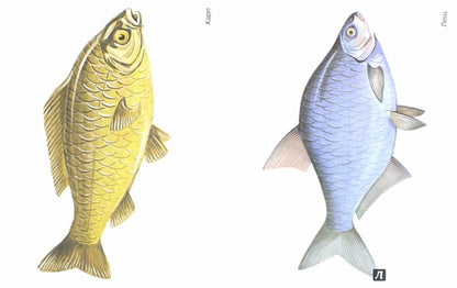 Рыбы в картинках [Нагл. пособие]