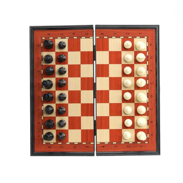 Aimants de table 19,5*3,2*10cm IJG ВМЕСТЕ dans la cor.2*72шт