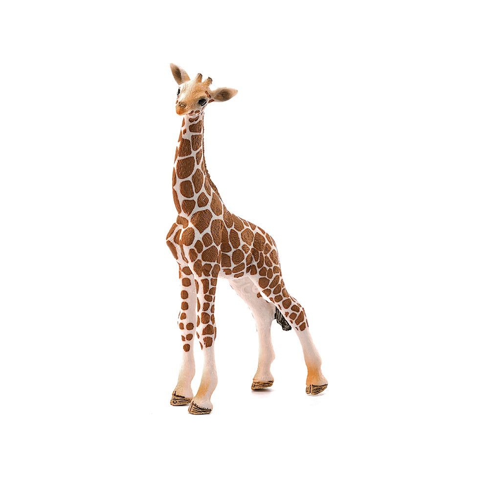 Schleich. Фигурка "Детеныш жирафа" арт.14751