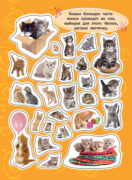 100 наклеек. Котята
