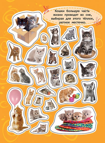 100 наклеек. Котята