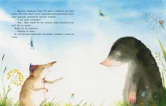 Радуга для Чудика : [сказка] / Н. Шицкая ; ил. О. А. Космодемьянской. — М. : Нигма, 2022. — 32 с. : ил. с автографом