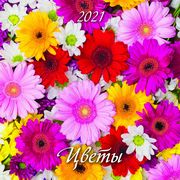 Упражнение для синхрониста. Беспилотник: Самоучитель устного перевода с английского языка на русский