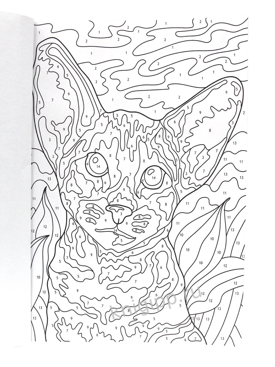 КАРТИНЫ для раскрашивания по номерам. КОШКИ И СОБАКИ