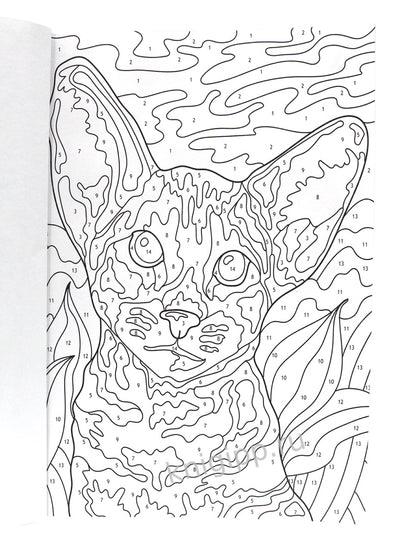 КАРТИНЫ для раскрашивания по номерам. КОШКИ И СОБАКИ