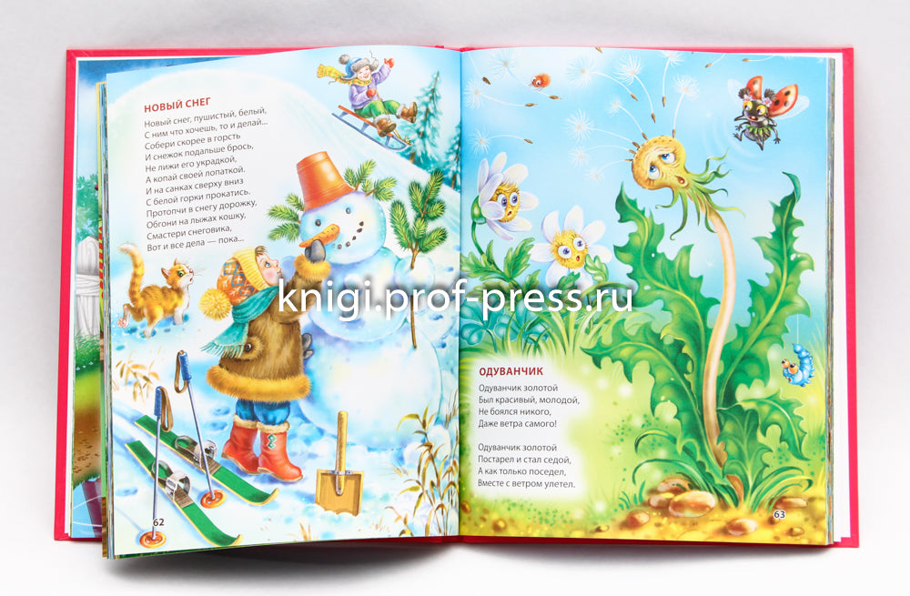 Л.С. КНИГА ДЛЯ ДЕТСКОГО САДА