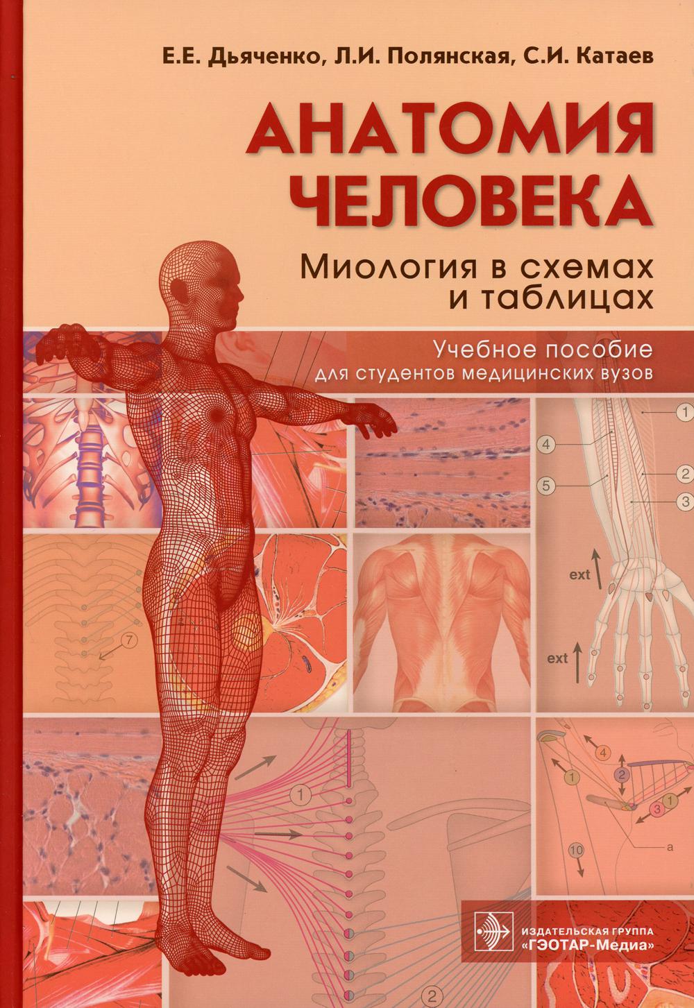 Анатомия человека: миология в схемах и таблицах : учебное пособие (в качестве учебного пособия для студентов, обучающихся по специальностям ВПО группы «Здравоохранение»)