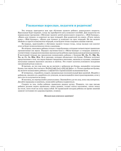 Нищева. Тетрадь для обучения грамоте детей дошкольного возраста №2. ФОП. ФАОП. (ФГОС) (цветная)