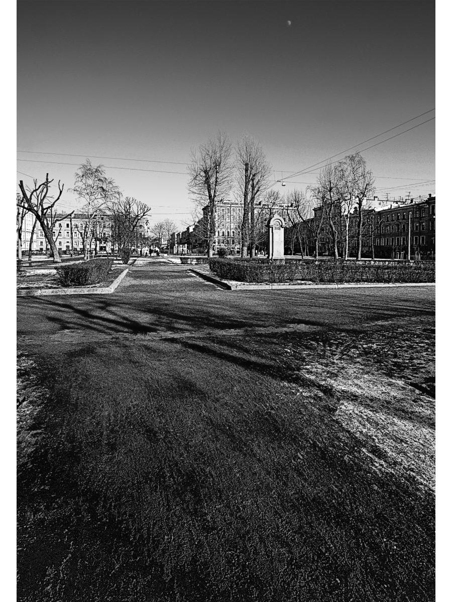 Тургенев в Петербурге