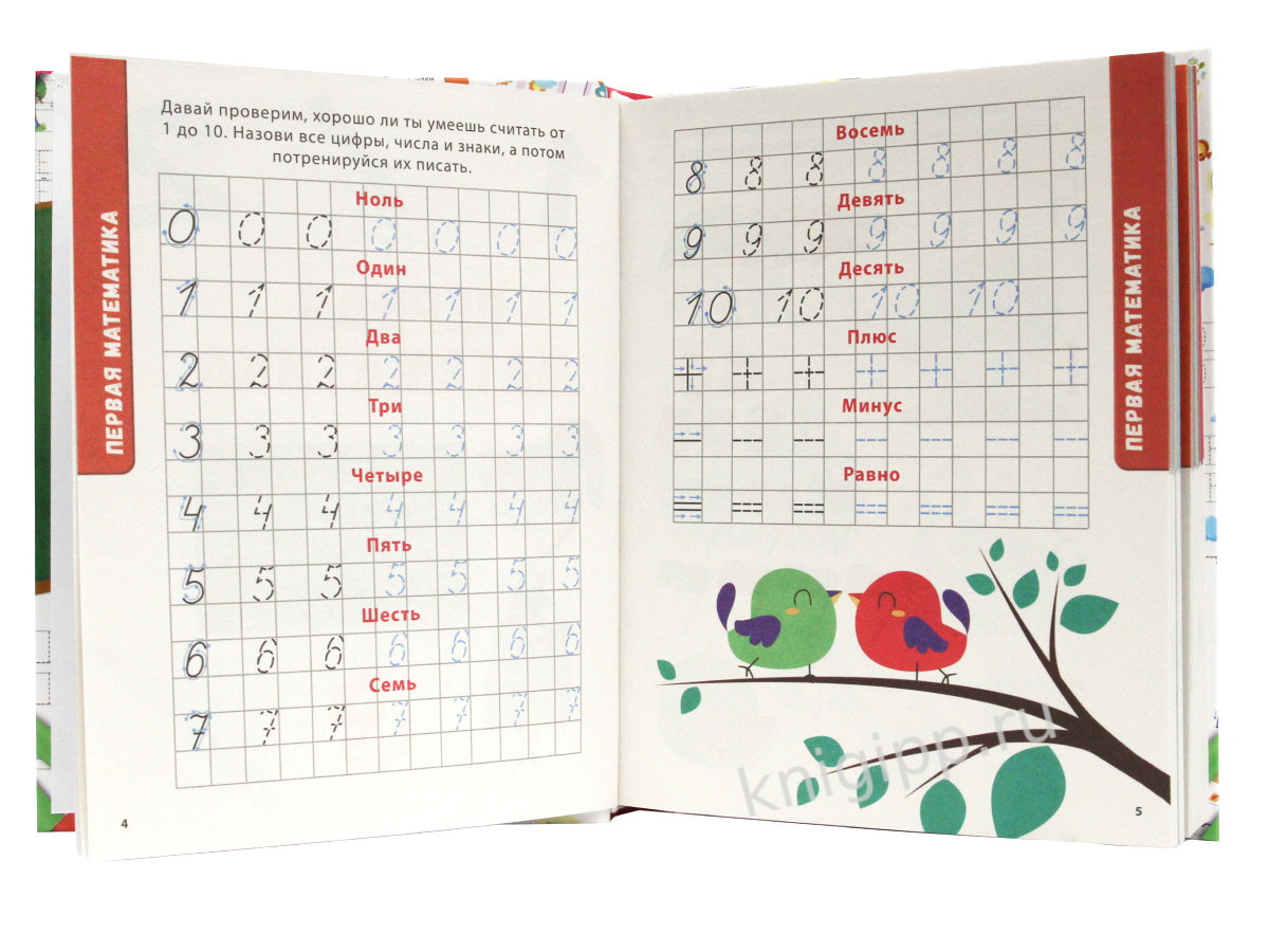 БОЛЬШАЯ КНИГА ЗНАНИЙ