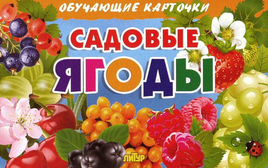 Карточки. Садовые ягоды ; Карточки. Садовые ягоды