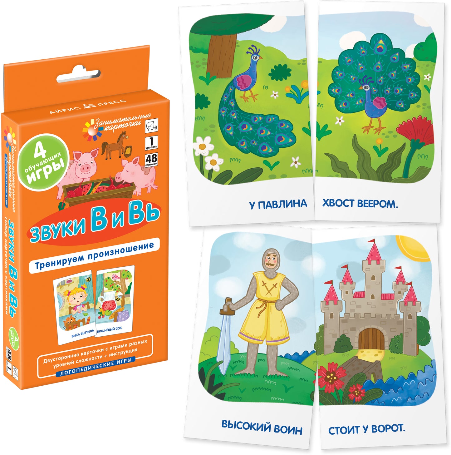 Занимательные карточки. Логопедические игры. Комплект 6 игр на поддончике