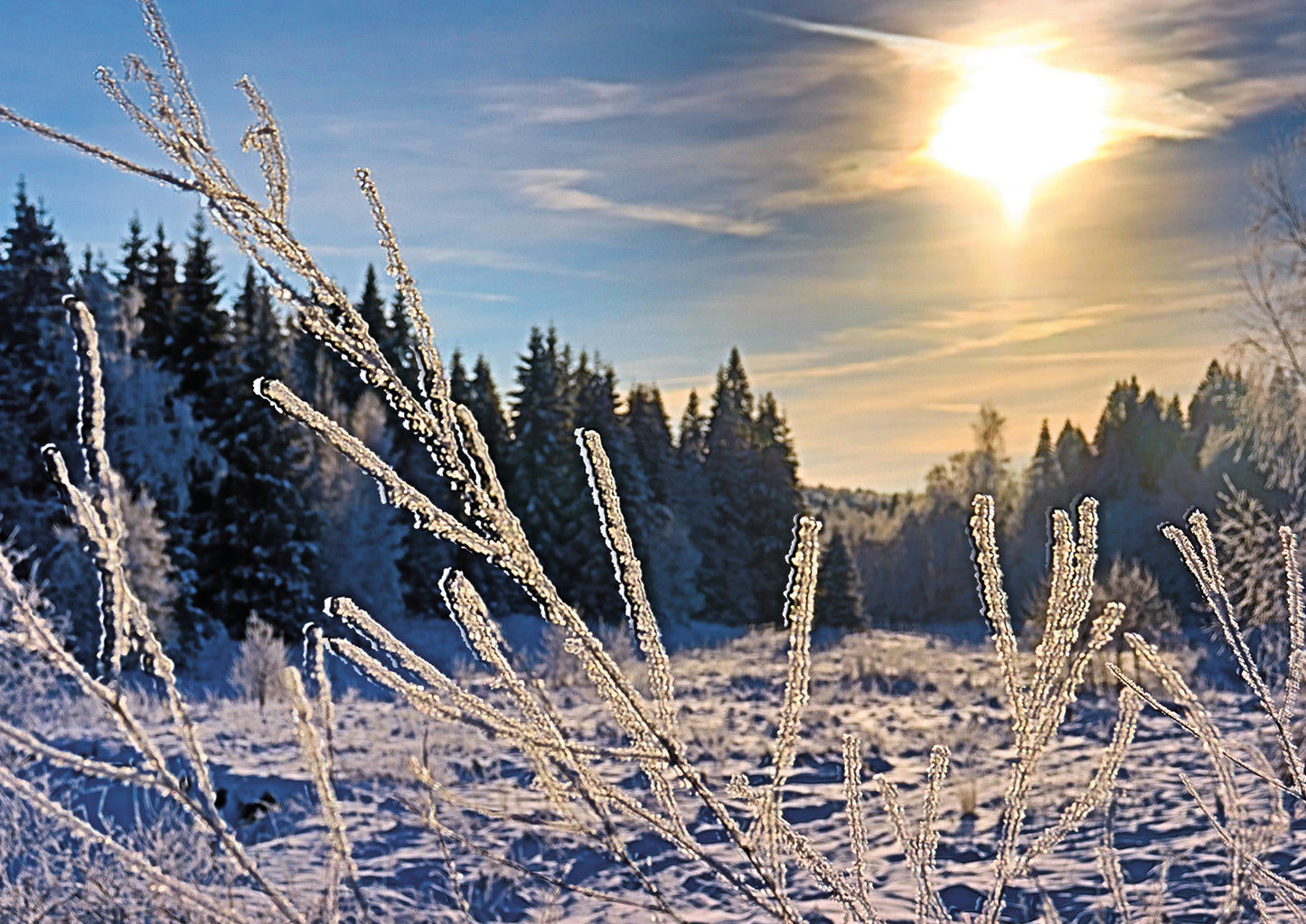 Россия Великолепная. Мороз и солнце. Формат А3.