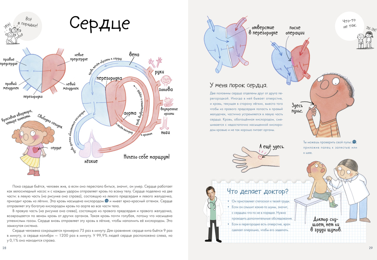 УДД 2021. Удивительные энциклопедии. Секреты тела человека