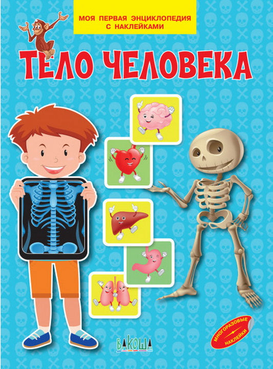 МПЭН Тело человека. Моя первая энциклопедия с наклейками