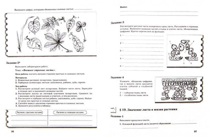 Биология. 6 класс. Рабочая тетрадь (комплект в 2 частях)