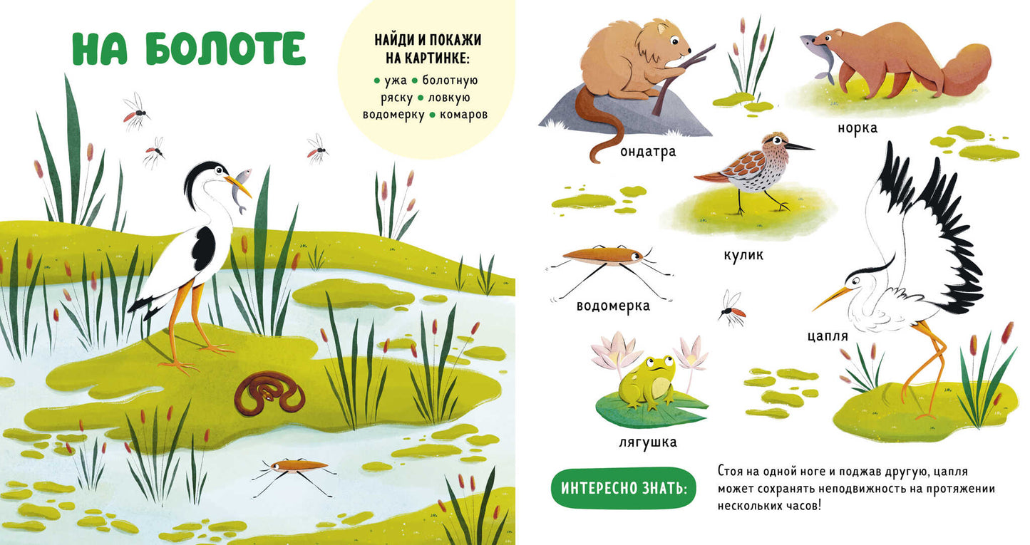 Главная книга малыша. Прогулки по лесу