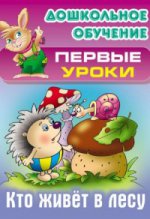 Дошкольное обучение. ПЕРВЫЕ УРОКИ