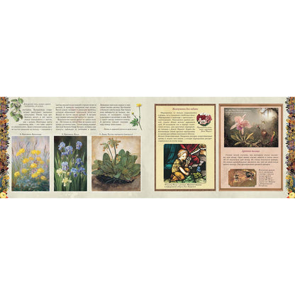 Мой первый гербарий