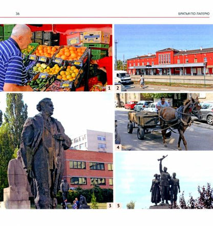 Братья по лагерю: куда ушла Восточная Европа?