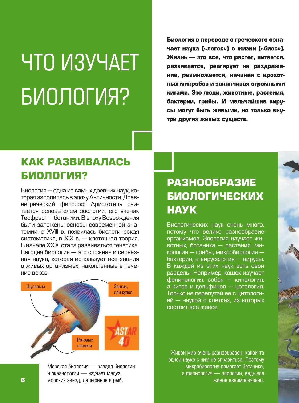 Большая детская 4D энциклопедия с дополненной реальностью