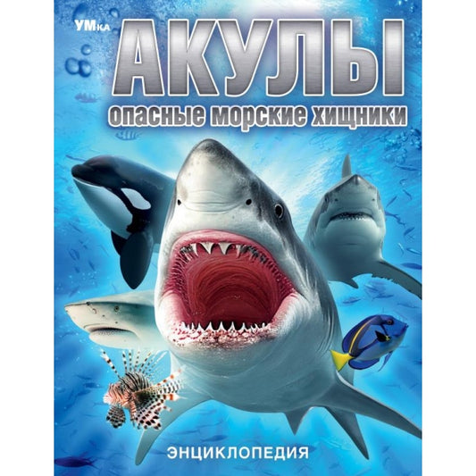 Akula. Опасные морские хищники. Энциклопедия. 197х255 mm. 7БЦ. 48 pièces. Умка в кор.15шт