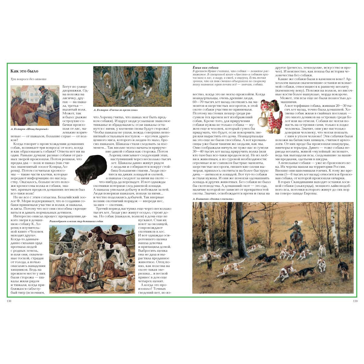 Загадки животного мира